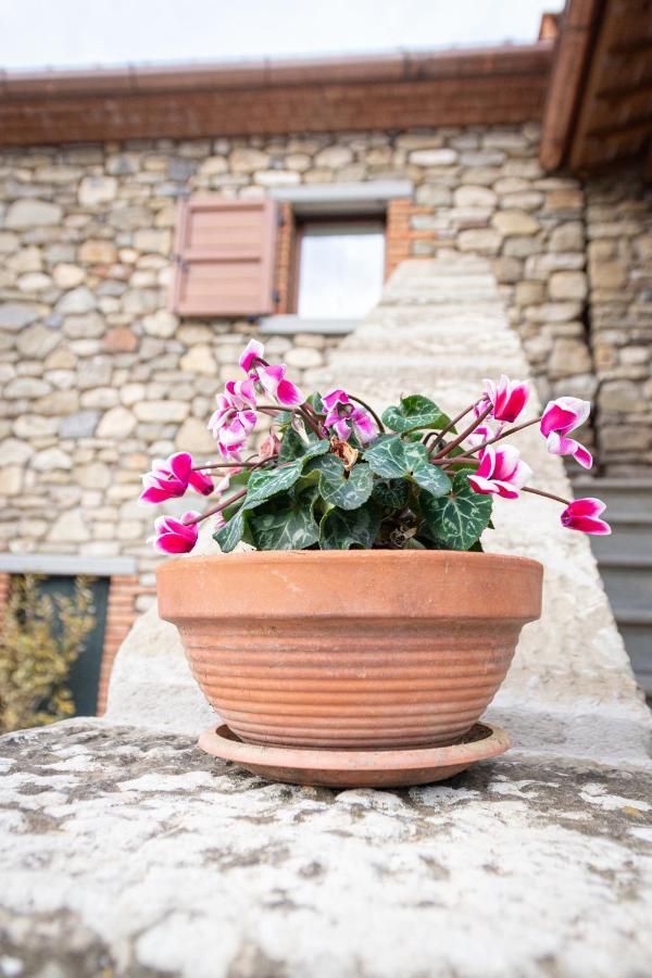 B&B Casa Del Pietro Pieve San Giovanni Buitenkant foto